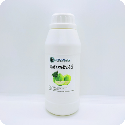 CHIẾT XUẤT LÁ ỔI (Chất bảo quản từ thiên nhiên)